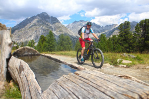 bei_e-bike_alpenuenerquerung_auf_leichten_wegen_zum_costainas_pass