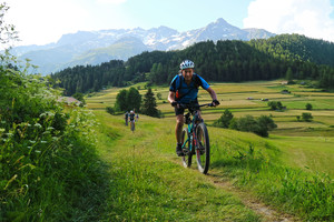 mountainbiker_faehrt_wiesentrail_nach_nauders_bei_alpencross