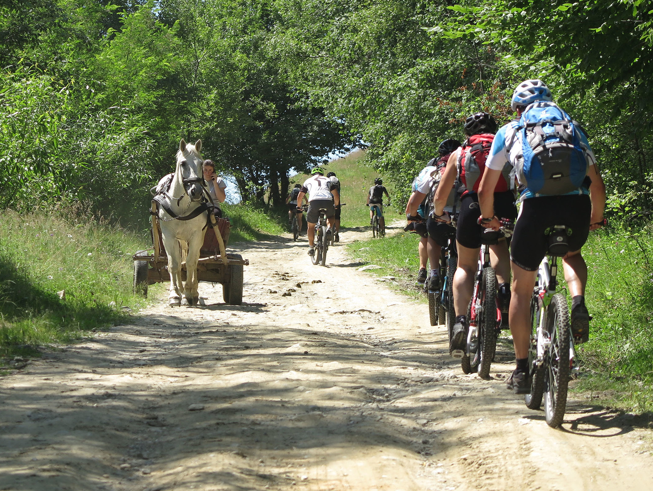 Mountainbiker begegnen Pferdekarren in Rumänien